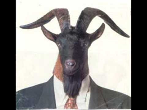 Pegadinha dos Couros - Bode Mijão, Bodão