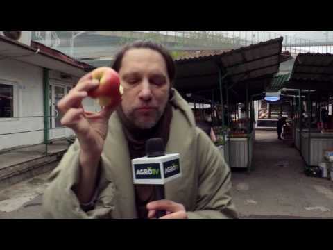 Moj ceger 23.04.2017. NAJAVA