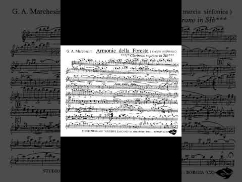Armonie della foresta - G.A.Marchesini (Marcia sinfonica)