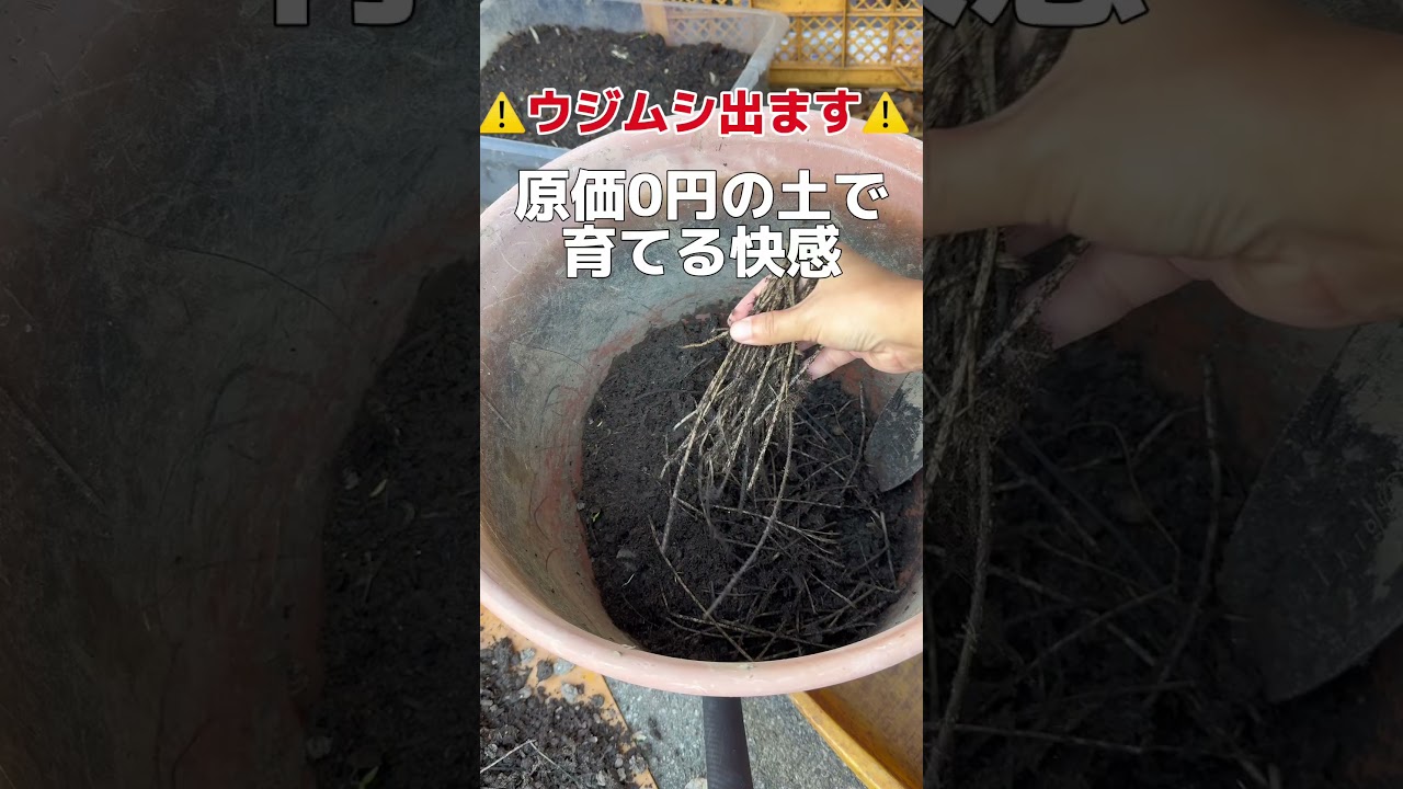 コンポストの土の活用方法