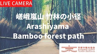 Kyoto Bamboo Forest live stream