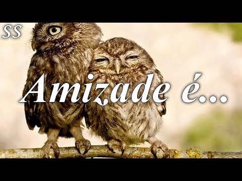 "Amizade é...". Mensagem sobre a amizade com lindos pássaros! WhatsApp/Facebook