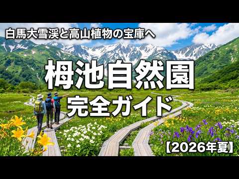 【2026年最新版】標高1,900mの絶景！栂池自然園グリーンシーズン完全ガイド｜初心者から本格トレッキングまで