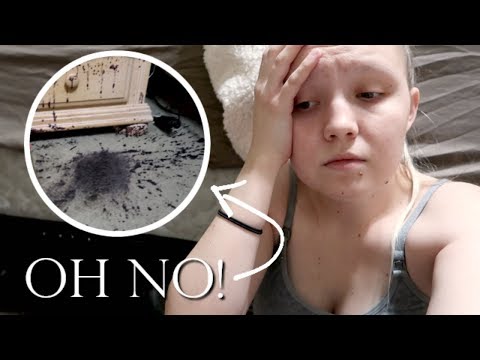 NOT MY MORNING.... (I just wanted to cry!) Video