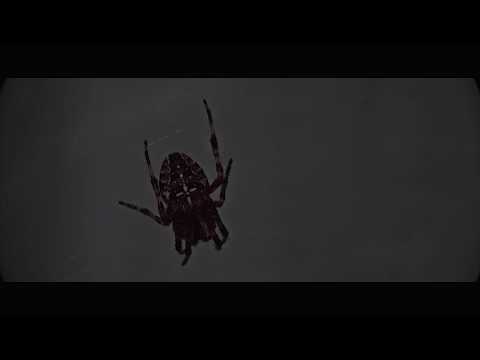 Varacat - Children of the grave / Sucio y desprolijo