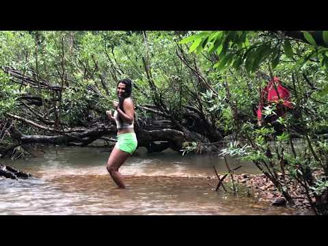 Aane jhari butterfly camp- Travel vlog