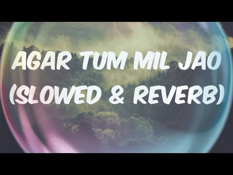 Agar Tum Mil Jao | Male Version | Udit Narayan | Slowed & Reverb | Lofi Dope Music |