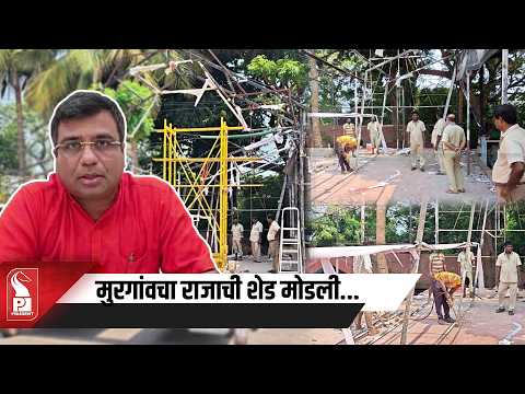 High Court Order Enforced: MMC Dismantles 'Murgaoncha Raja' Shed at Sada