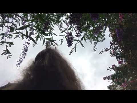 Neck Rolls While Bumping Into Flowers ....