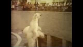 WATERBED ❄ somethin