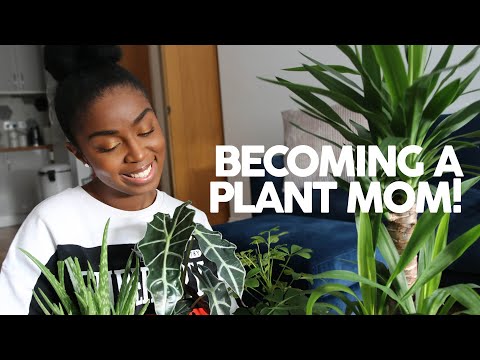 Becoming a Plant Mom For the First Time 🌵| Vlog