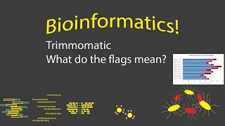 Bioinformatics - Understanding Trimmomatic