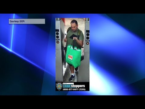 NYC Manhattan N. Y. P. D. Seeking Subway Shooter