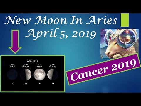 Cancer Take Time To Get This In Control! - New Moon Reading - April 2019