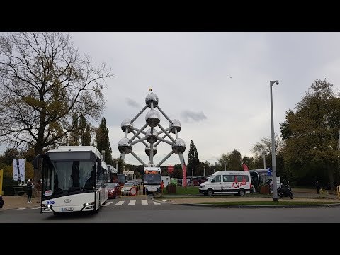 Busworld 2019 Brussels  All Bus & Coach Tout les bus & cars