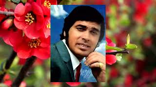 Through the eyes of love - Engelbert  Humperdinck