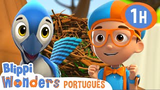 Blippi Visita um Ninho de Pássaros! | 1 HORA DO BLIPPI! | Desenhos Animados Infantis em Português