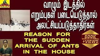 Reason for the sudden arrival of ants in the house|வீட்டில் திடீர் என எறும்புகளா? அலட்சியம் வேண்டாம்
