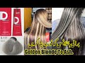 Golden Blonde To Ash Blonde Highlights Blonde To Silver Highlights Blonde Silver Highlights