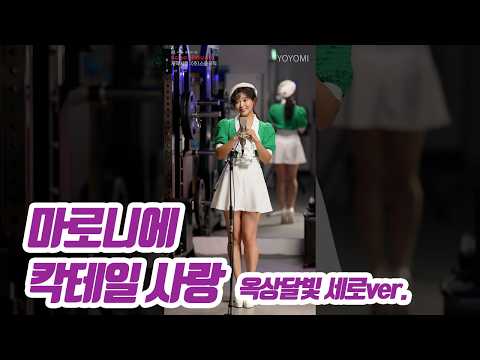 요요미(YOYOMI) - 칵테일 사랑 (마로니에, 옥상달빛Ver) 세로 Cover by yoyomi