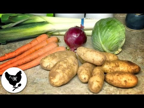 Let's Cook! German Potato Soup & How to Clean Leeks