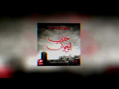 Redstar Radi ft Klay - Jary el Wuhoosh V2