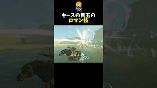 目玉のホーミング性能を使ったロマン技 #shorts  #ゼルダの伝説ティアーズオブザキングダム #ティアキン