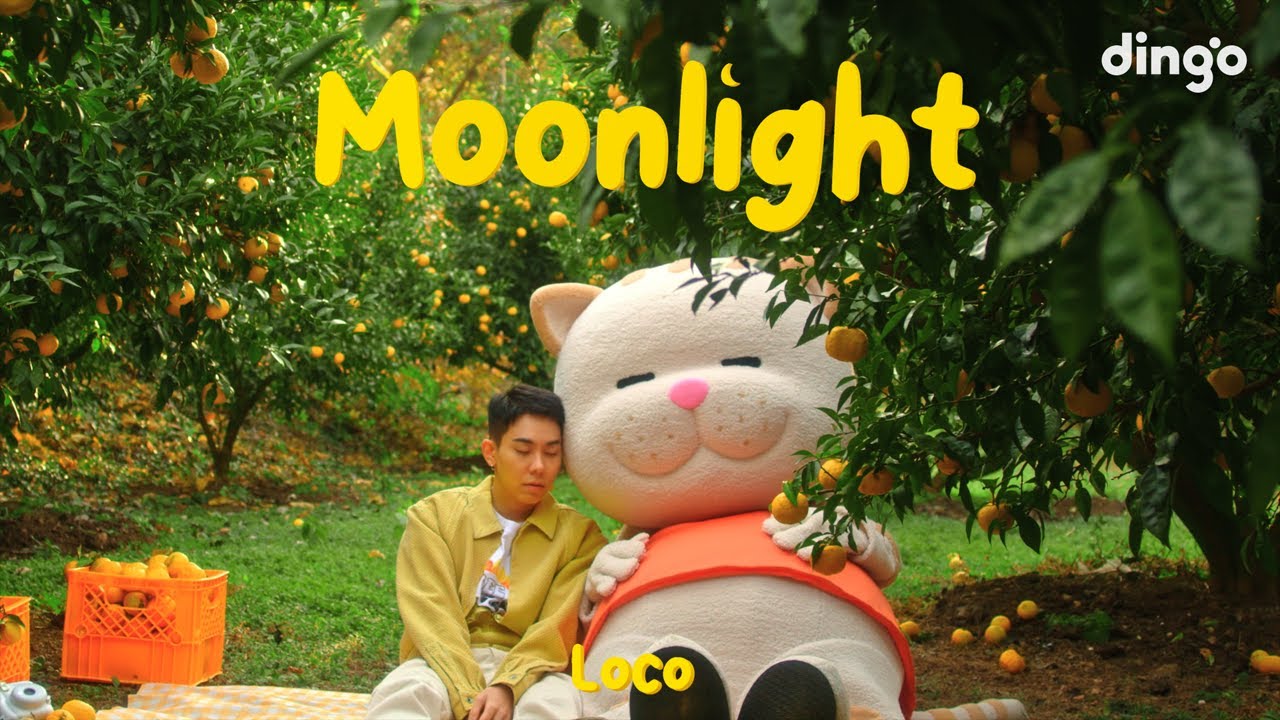 로꼬 - Moonlight MV 홍보영상