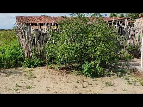 8 de setembro de 2025