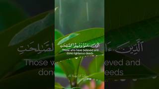 Download lagu Alaji Na Amanu Wamilus Salihati | Quran Reaction #shorts #youtubeshorts #short #quranepak mp3