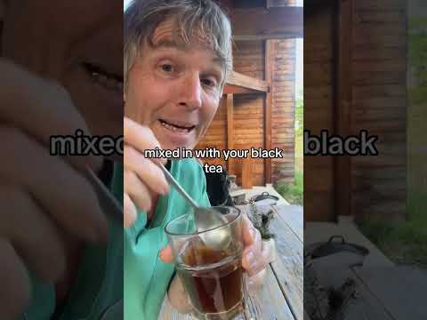 ¿Piel canina irritada? ¡El mejor remedio casero!