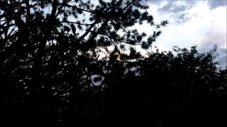 Fragile Music Video