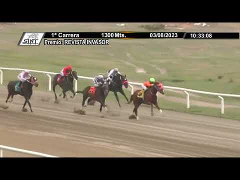 SINT COLONIA 230803 c01 - 1° WILL FLASH