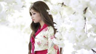 André Andersen – In My Arms (Acoustic) - Fan Video