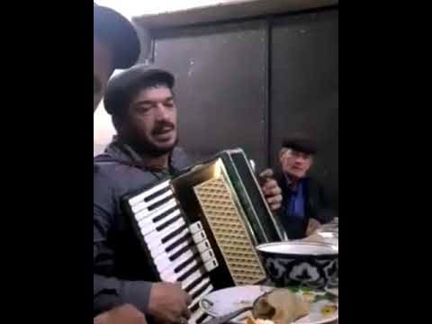 песни на дагестанском языке