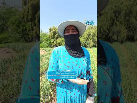 من عرق جبينها تكمل سلمى تعليمها عاجل 