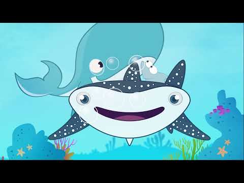 Hoje: O Tubarão Martelo e os Habitantes do Fundo do Mar - O Filme