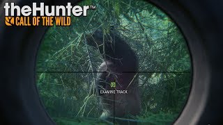 The Hunter Call of the Wild - #1- Black Bear Attack