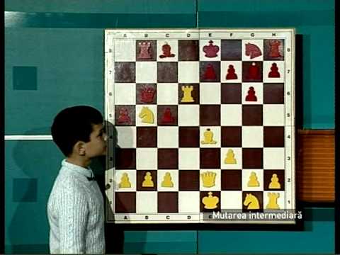 Emisiunea 23 arhiva: Mutarea intermediara