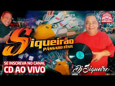 ESPECIAL REGINALDO ROSSI - DJ SIQUEIRA - SIQUEIRÃO NO BOTEQUIM EM BELÉM