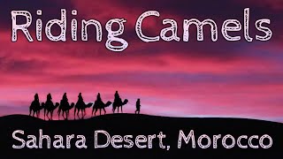 Riding Camels in the Sahara Desert of Morocco