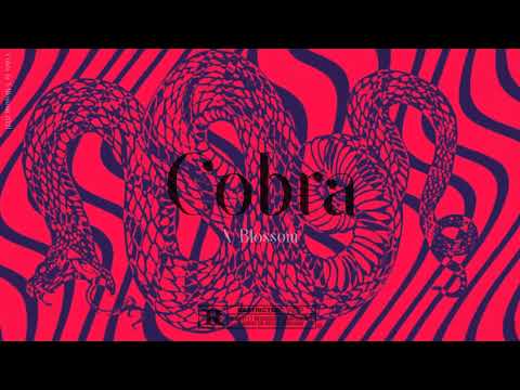 [SOLD] Dj Snake x J Balvin Type Beat 2021 | Reggaeton/Moombahton - ''Cobra''