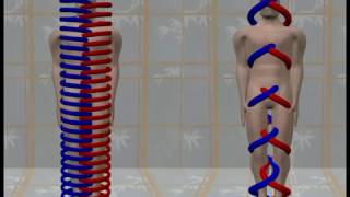 The Two Snakes View of the Human Body # 01