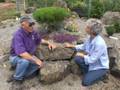 How to Build a Rockery Video