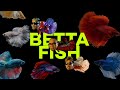 Saykoji - Betta Fish (Feat. Alldone Klaar & Ngapz)