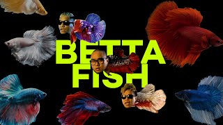 Download lagu ALLDONE KLAAR - BETTA FISH Feat SAYKOJI & NGAPZ mp3