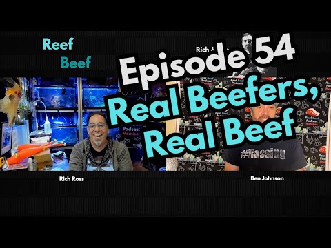 Real Beefers, Real Beef - Episode 54 - Reef Beef Podcast