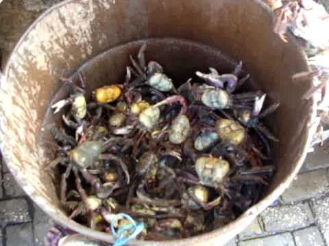 Who gets out first ? Nobody