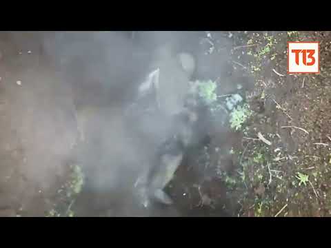 , title : 'Soldado ruso atrapa y arroja bombas lanzadas por dron ucraniano'