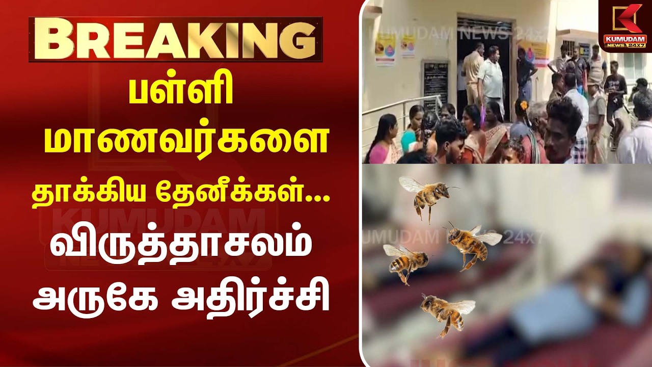 பள்ளி மாணவர்களை தாக்கிய தேனீக்கள்... விருத்தாசலம் அருகே அதிர்ச்சி  | Virudhachalam | Bee Attack